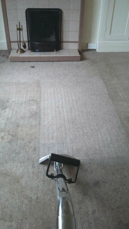 during carpet cleaning Lincoln