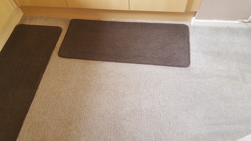 after carpet clean Lincoln