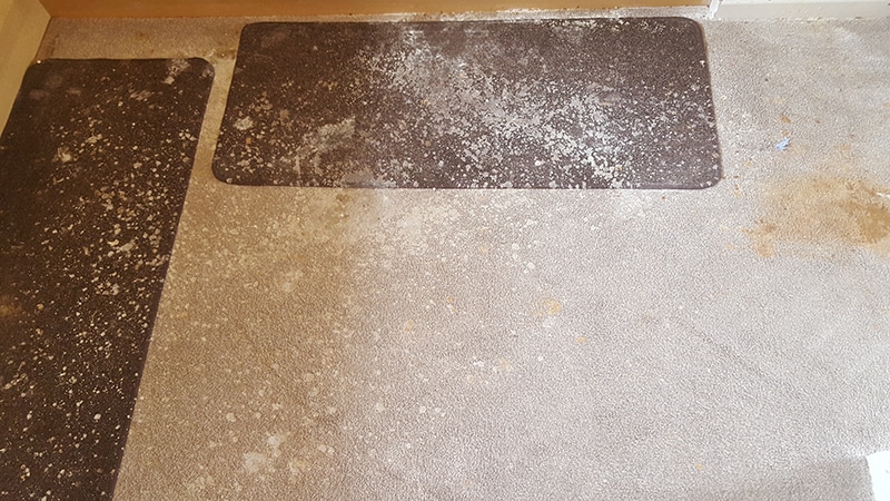 before carpet clean Lincoln