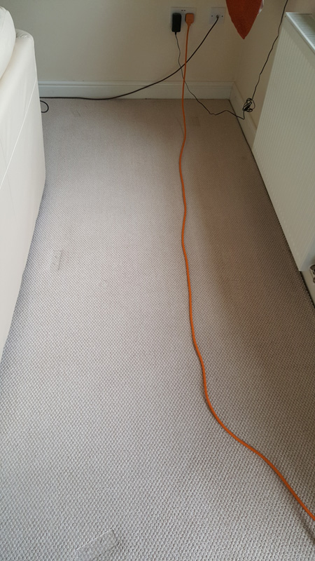 carpet after cleaning with no stains